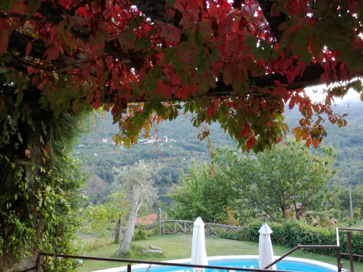 Casa Do Moleiro Pension Cinfães Buitenkant foto