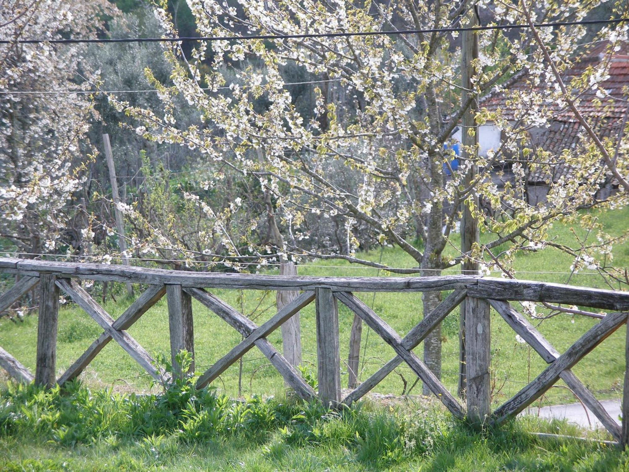 Casa Do Moleiro Pension Cinfães Buitenkant foto